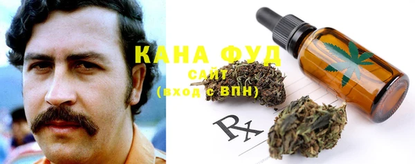 ГАЛЛЮЦИНОГЕННЫЕ ГРИБЫ Вязники