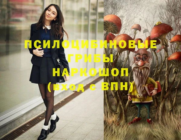 ГАЛЛЮЦИНОГЕННЫЕ ГРИБЫ Вязники