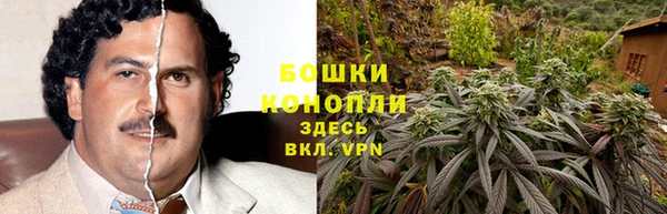 ешки Вязьма