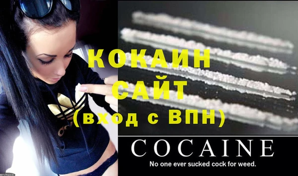 ГАЛЛЮЦИНОГЕННЫЕ ГРИБЫ Вязники